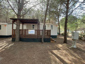Happy Camp Mobile Homes in Camping Iscrixedda